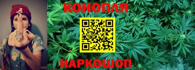 PSILOCYBIN Владивосток