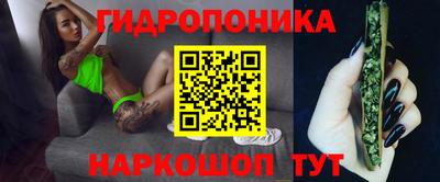 PSILOCYBIN Владивосток